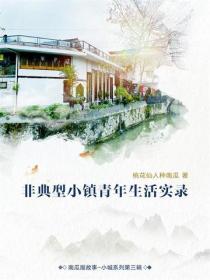 非典型小镇青年生活实录