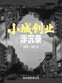 小城创业浮沉录