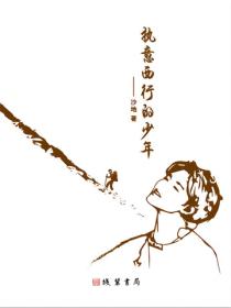 执意西行的少年