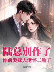 陆总别作了,你前妻嫁大佬怀二胎了