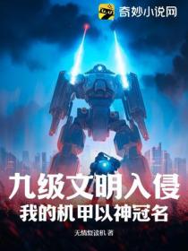 九级文明入侵：我的机甲以神冠名