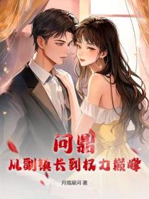 问鼎：从副镇长到权力巅峰