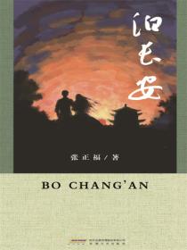 泊长安