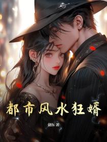 都市风水狂婿