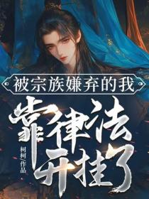 被宗族嫌弃的我，靠律法开挂了