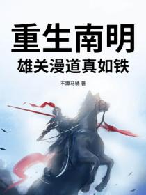 重生南明：雄关漫道真如铁