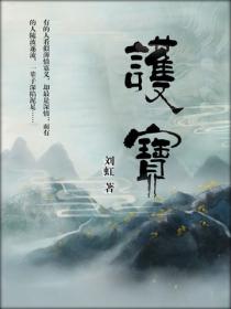 护宝
