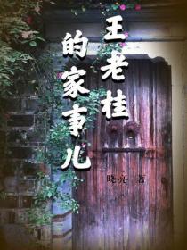 王老桂的家事儿