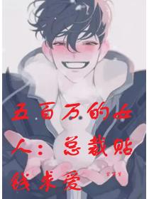 五百万的女人:总裁贴钱求爱