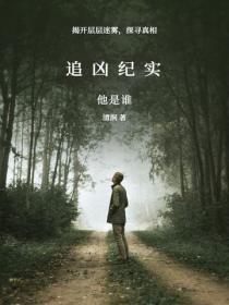 追凶纪实
