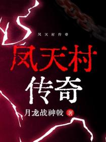 凤天村传奇