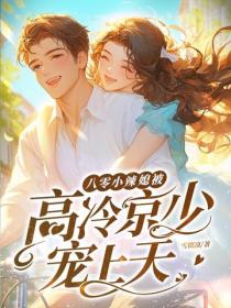 八零小辣媳，被高冷京少宠上天