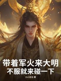 带着军火来大明,不服就来碰一下