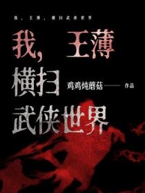 我，王薄，横扫武侠世界