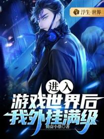 进入游戏世界后，我外挂满级