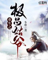 重生之极品姑爷