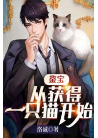 鉴宝：从获得一只猫开始