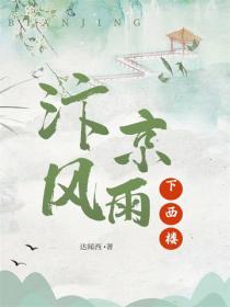 汴京风雨下西楼