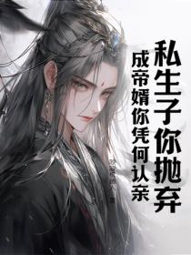 我可是私生子，谁把黄袍穿我身上