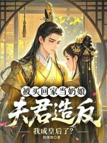 被买回家当奶娘,夫君造反我成皇后了?