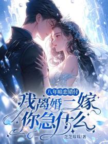 八年暗恋错付,我离婚二嫁你急什么?