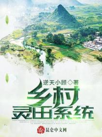乡村灵田系统