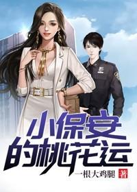 小保安的桃花运