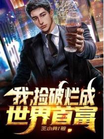 我，捡破烂成世界首富