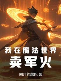 我在魔法世界卖军火