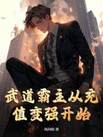 武道霸主从充值变强开始