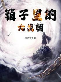 箱子里的大炎朝