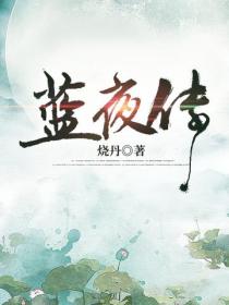 蓝夜传