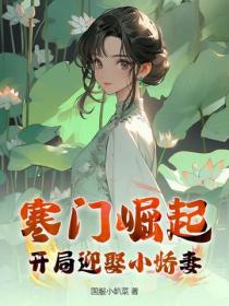 寒门崛起：开局迎娶小娇妻