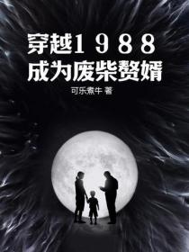 穿越1988成为废柴赘婿