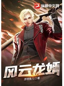 风云龙婿