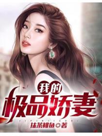 我的极品娇妻