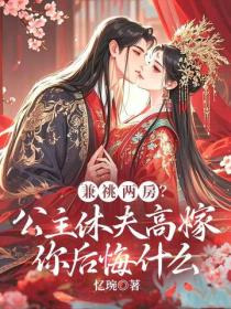 兼祧两房？公主休夫高嫁你后悔什么