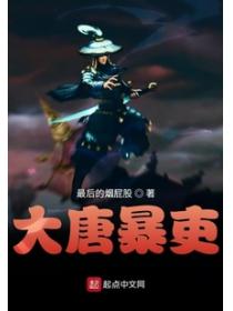 大唐暴吏