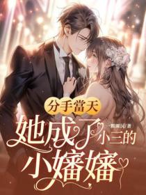 分手当天,她成了小三的小婶婶