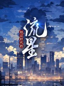 划过时代的流星