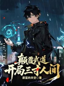 颠覆武道：开局三寸人间