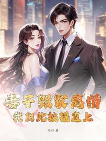 妻子毁家离婚,我自此扶摇直上!