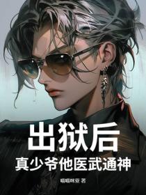 出狱后，真少爷他医武通神