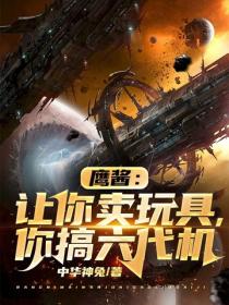 鹰酱：让你卖玩具，你搞六代机