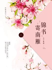 锦书寄南雁