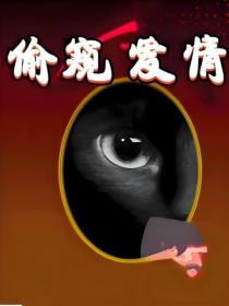 偷窥爱情
