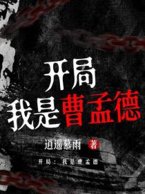 开局：我是曹孟德