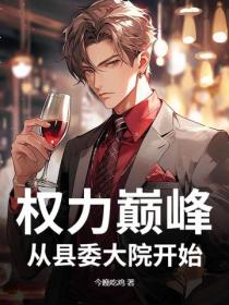 权力巅峰:从县委大院开始