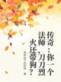 传奇：你一个法师，刀刀烈火还带狗？