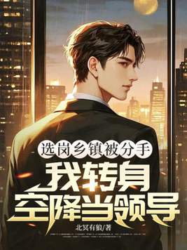 选岗乡镇被分手,我转身空降当领导